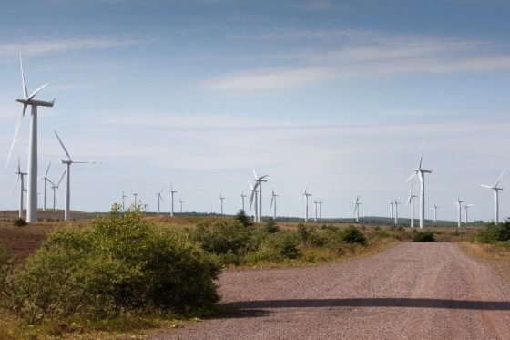 Black_law_windfarm_extemsion_560x373