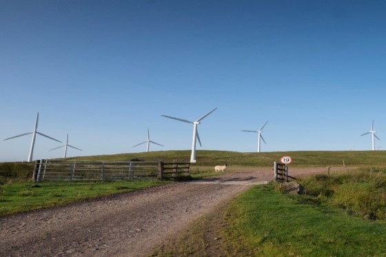 Hagshaw_Hill_Windfarm_560x373