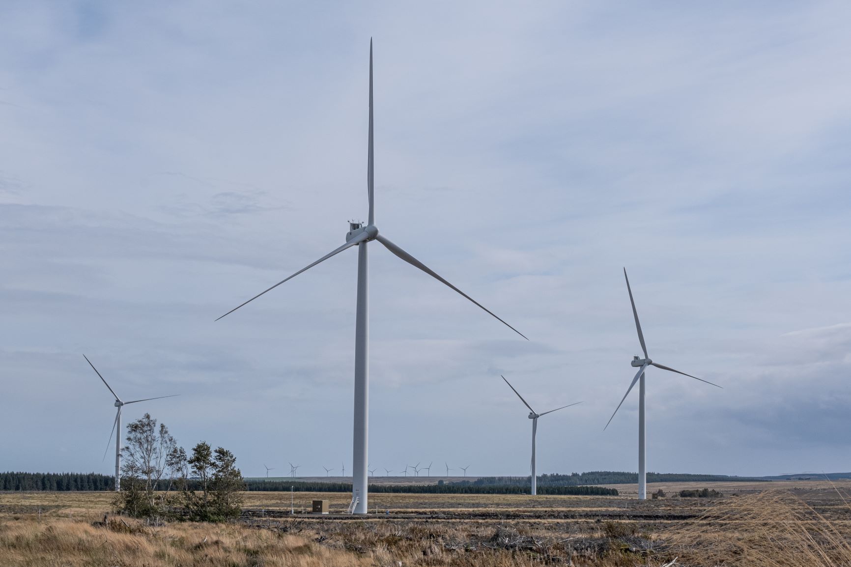 Halsary Windfarm