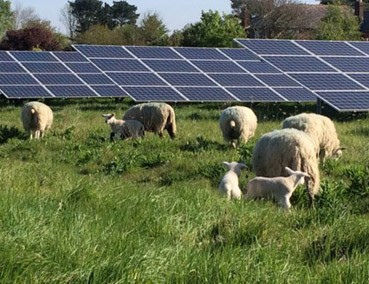 Solar_Farm_3