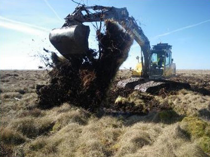 Pockets of water sit in a row on peatland to help with restoration