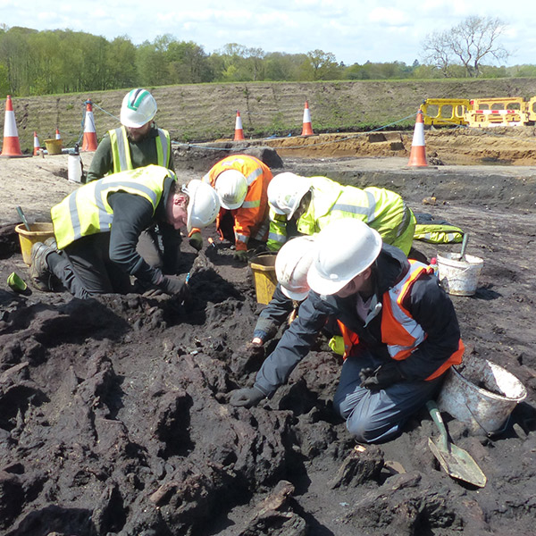 Neolithic trackway - excavation